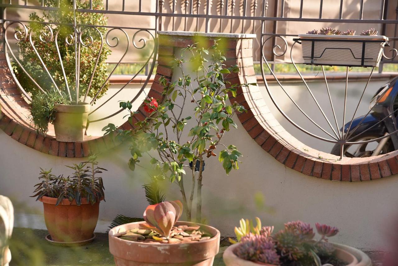 B&B Le Cycas Castellammare di Stabia Exteriér fotografie